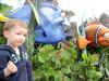 epcot_jer_nemo2.jpg (94704 bytes)