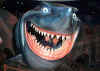 epcot_shark_attack!.jpg (67487 bytes)