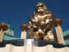 MGM_lion_below.jpg (146858 bytes)