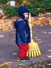 raking.jpg (122798 bytes)