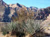 red_rock21.jpg (301894 bytes)