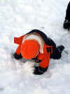 snow_down.jpg (79284 bytes)