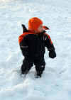 snow_pose.jpg (81829 bytes)